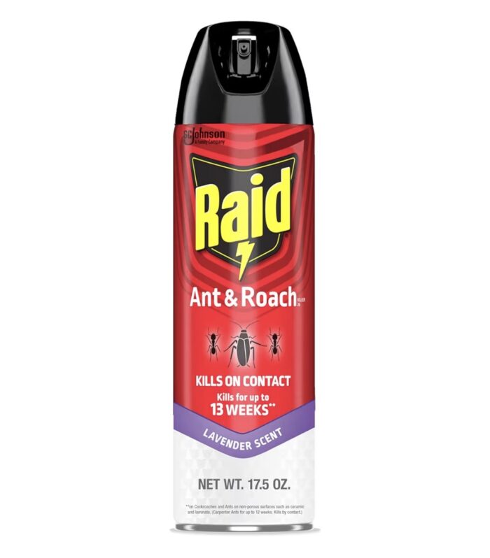 Raid Ant & Roach Killer Aerosol Spray Kills on Contact Keeps Killing for up to 13 Weeks 17.5 Ounce (Pack of 1)
